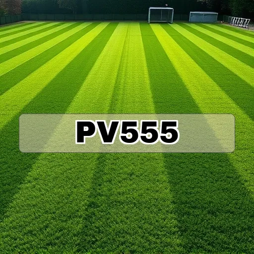 pv555.com Apostas esportivas